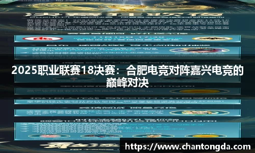 2025职业联赛18决赛：合肥电竞对阵嘉兴电竞的巅峰对决